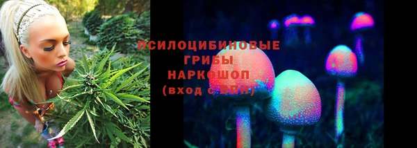 твердый Белокуриха