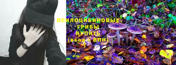 твердый Белокуриха