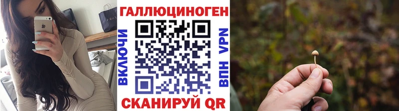 закладки  Чегем  гидра зеркало  Галлюциногенные грибы Magic Shrooms 